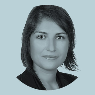 Ahu Akdeniz Claire